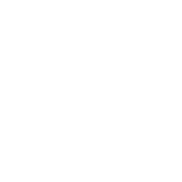 Metro Punk